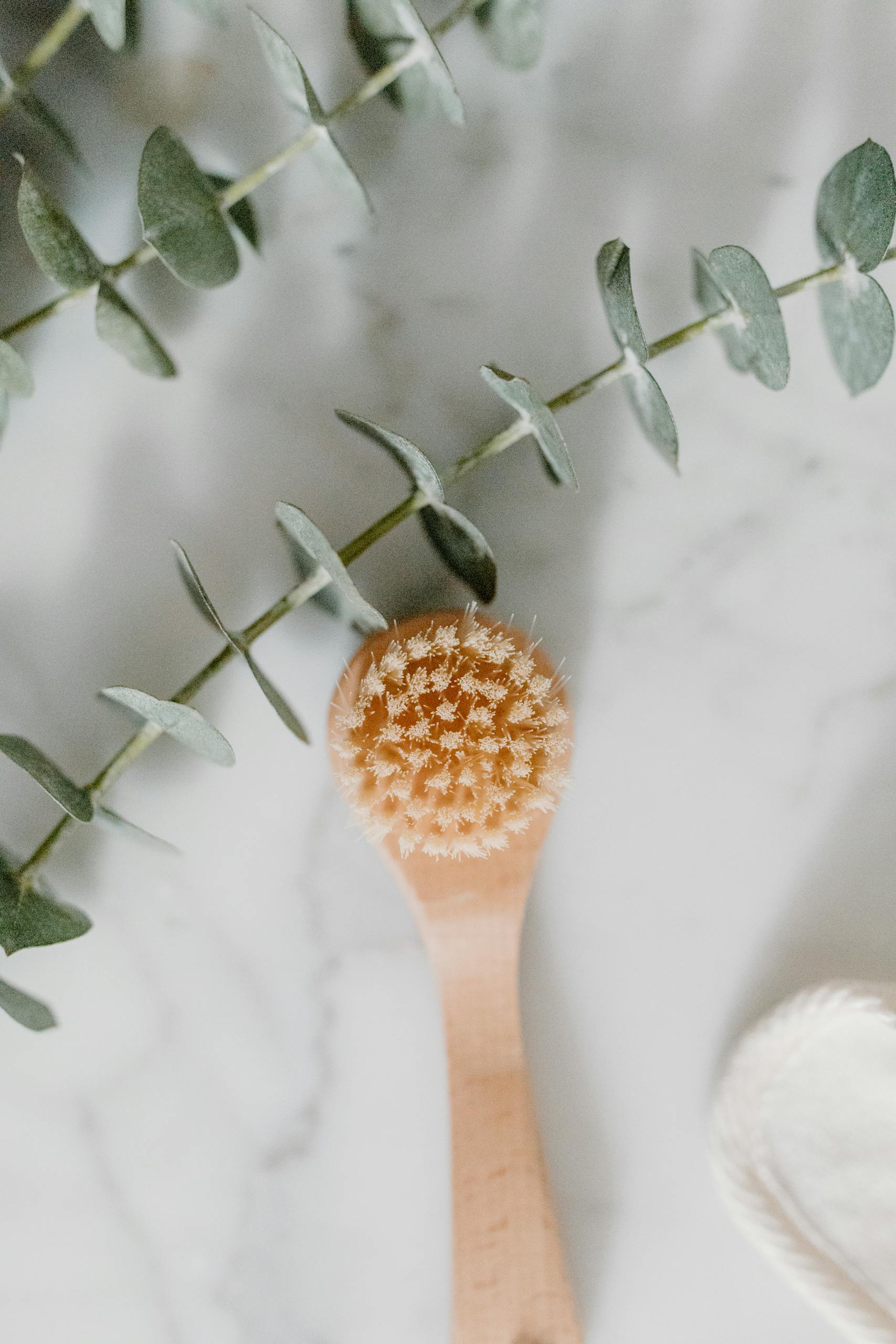 Eucalyptus leaves and a wooden bath brush on marble offer a calming, spa-like feel for self-care enthusiasts.